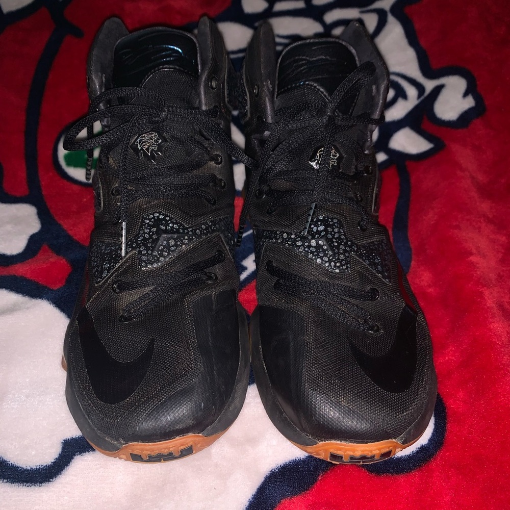 Nike Lebron 13’s Black Lion